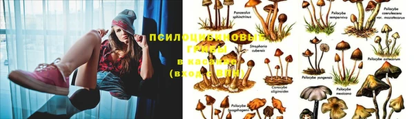 кокаин колумбия Армянск