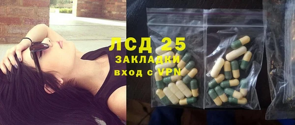 сатива Арсеньев