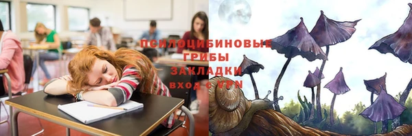 сатива Арсеньев