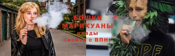 сатива Арсеньев