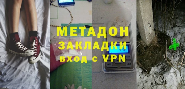 сатива Арсеньев