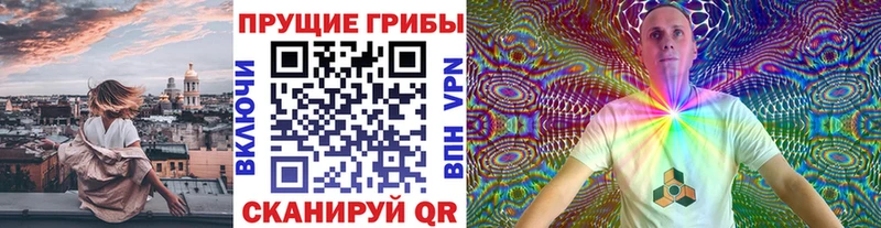 наркота  Юрьевец  Псилоцибиновые грибы Cubensis 